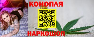 гашик Краснознаменск