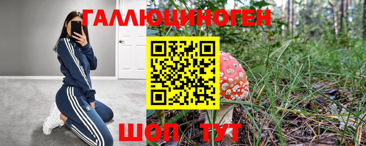 купить  цена  Вход с VPN  Каменск-Уральский  Псилоцибиновые грибы мухоморы  Галлюциногенные грибы Psilocybine cubensis 
