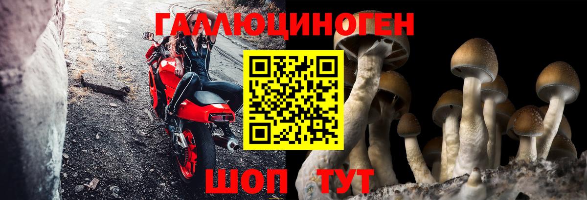 Галлюциногенные грибы ЛСД Каменск-Уральский